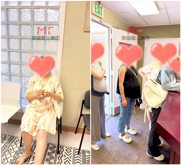赴美生子|带着孕妈们准时产检，把安心感拉满
